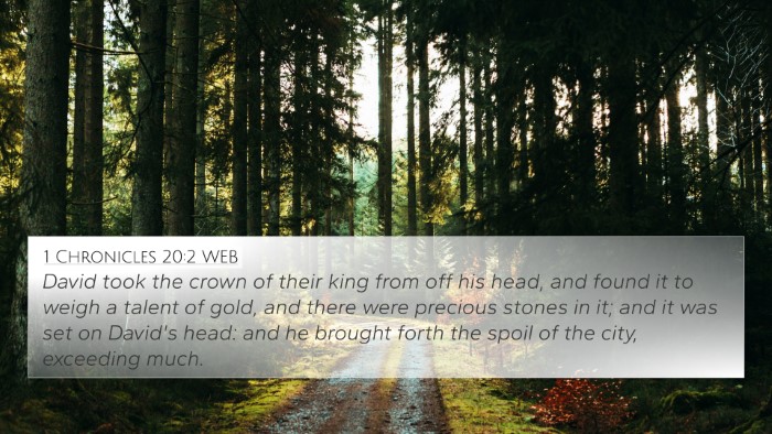 1 Chronicles 20:2 WEB Bible Verse Image