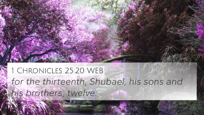 1 Chronicles 25:20 WEB 4K Wallpaper - for the thirteenth, Shubael, his sons and his - 4K Wallpaper Bible Verse