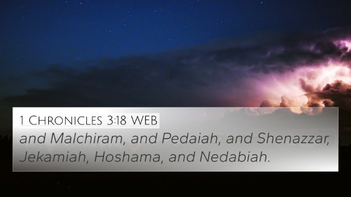 1 Chronicles 3:18 WEB 4K Wallpaper - and Malchiram, and Pedaiah, and Shenazzar, - 4K Wallpaper Bible Verse