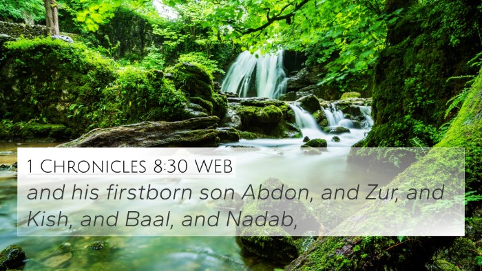1 Chronicles 8:30 WEB Bible Verse Image