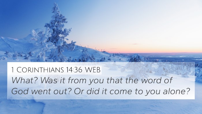 1 Corinthians 14:36 WEB 4K Wallpaper - What? Was it from you that the word of God went - 4K Wallpaper Bible Verse