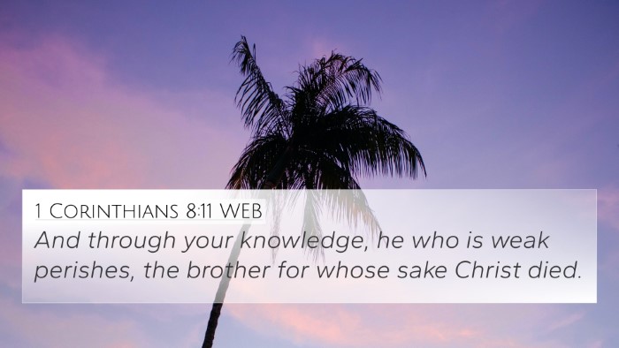 1 Corinthians 8:11 WEB Bible Verse Image