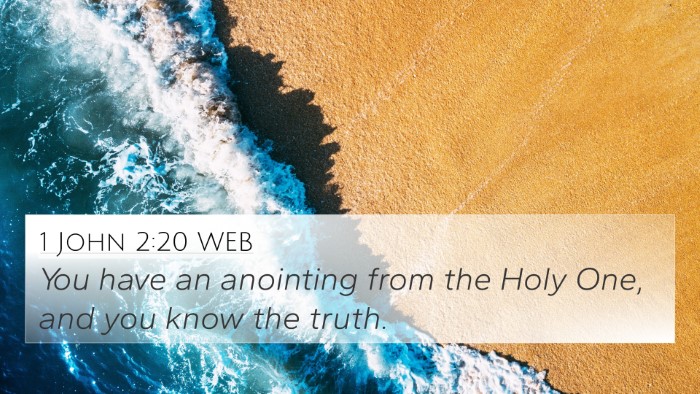 1 John 2:20 WEB Bible Verse Image