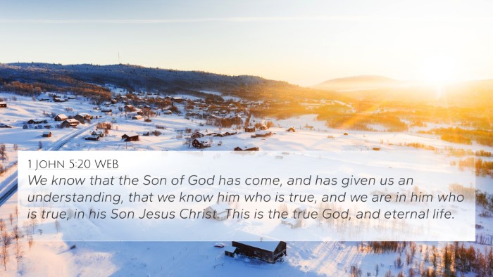1 John 5:20 WEB Bible Verse Image