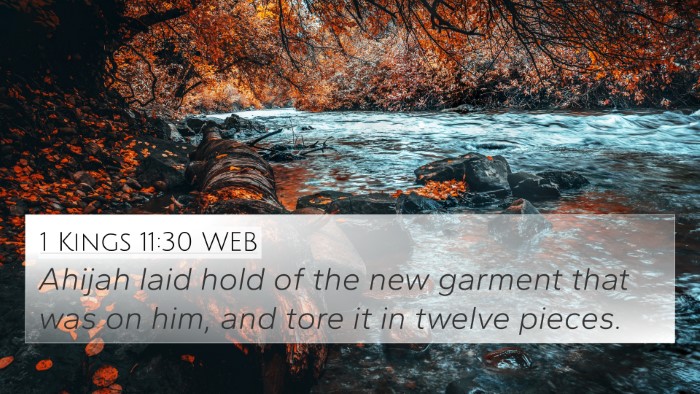 1 Kings 11:30 WEB Bible Verse Image