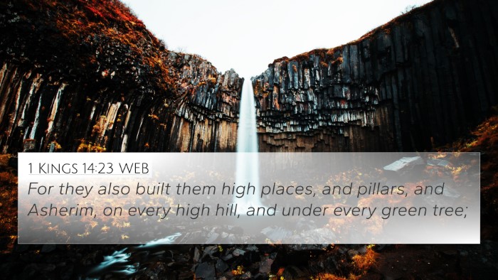 1 Kings 14:23 WEB Bible Verse Image