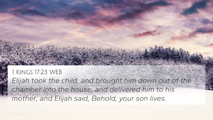 1 Kings 17:23 WEB Bible Verse Image