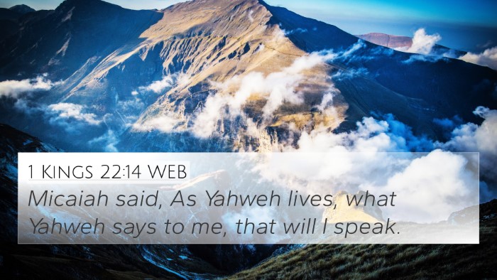 1 Kings 22:14 WEB Bible Verse Image