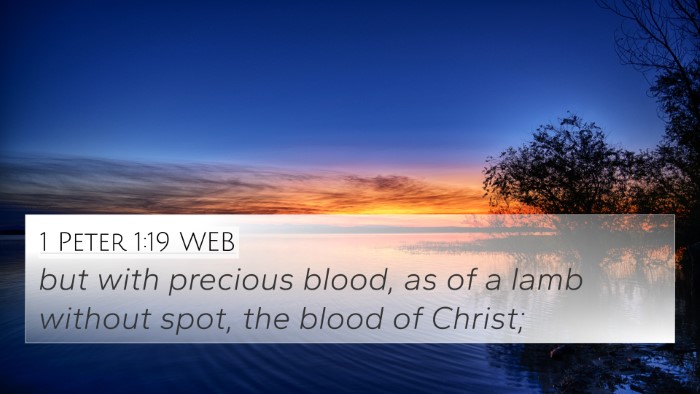 1 Peter 1:19 WEB Bible Verse Image