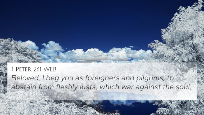 1 Peter 2:11 WEB Bible Verse Image