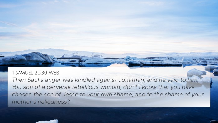 1 Samuel 20:30 WEB Bible Verse Image