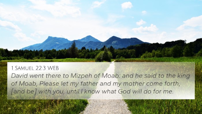 1 Samuel 22:3 WEB Bible Verse Image