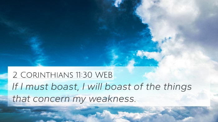 2 Corinthians 11:30 WEB Bible Verse Image