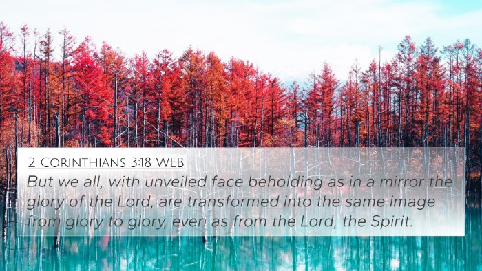 2 Corinthians 3:18 WEB Bible Verse Image