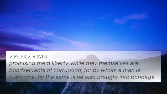 2 Peter 2:19 WEB Bible Verse Image