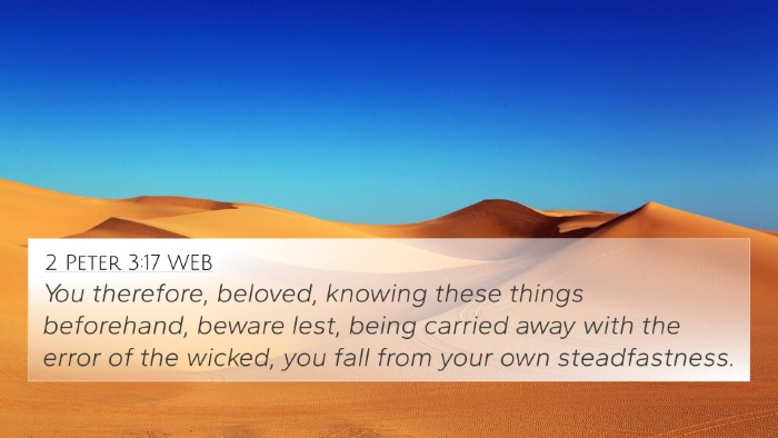 2 Peter 3:17 WEB Bible Verse Image