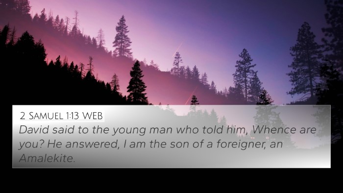 2 Samuel 1:13 WEB Bible Verse Image
