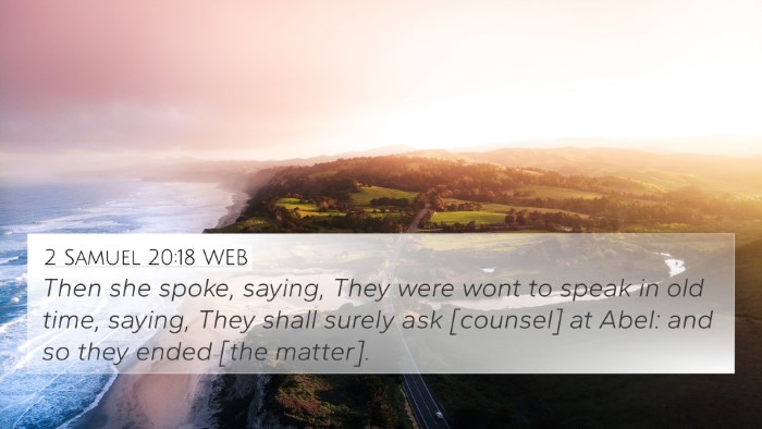 2 Samuel 20:18 WEB Bible Verse Image