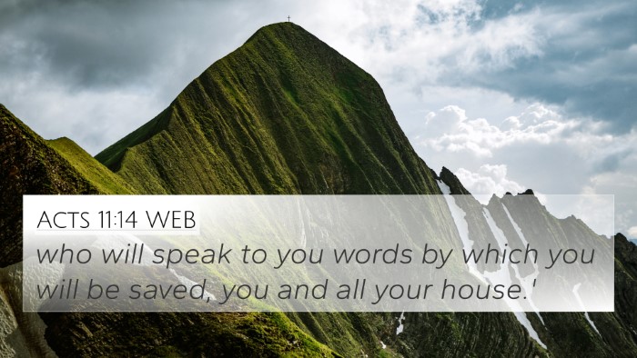 Acts 11:14 WEB Bible Verse Image
