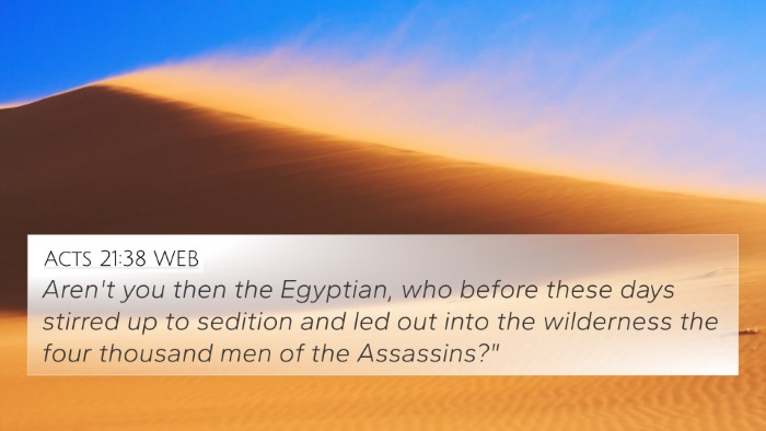 Acts 21:38 WEB Bible Verse Image