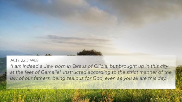 Acts 22:3 WEB Bible Verse Image