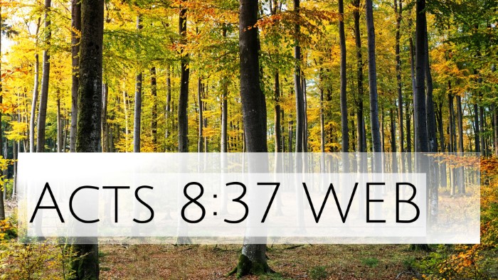 Acts 8:37 WEB 4K Wallpaper -  - 4K Wallpaper Bible Verse