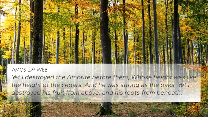 Amos 2:9 WEB Bible Verse Image