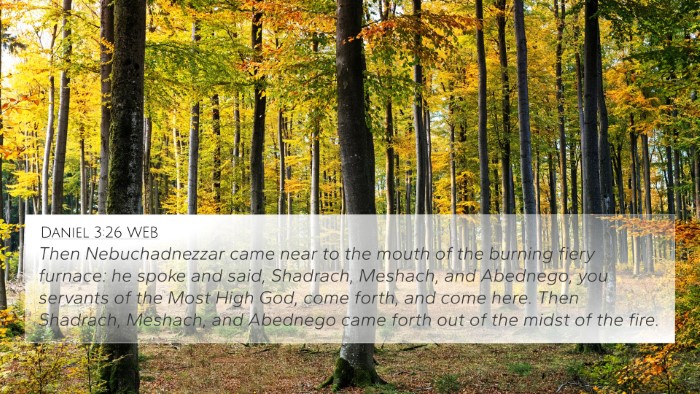Daniel 3:26 WEB Bible Verse Image