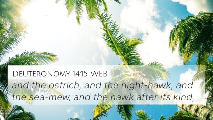 Deuteronomy 14:15 WEB 4K Wallpaper - and the ostrich, and the night-hawk, and the - 4K Wallpaper Bible Verse