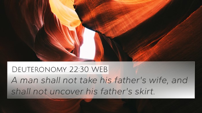 Deuteronomy 22:30 WEB Bible Verse Image