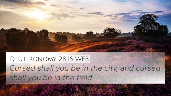 Deuteronomy 28:16 WEB 4K Wallpaper - Cursed shall you be in the city, and cursed shall - 4K Wallpaper Bible Verse