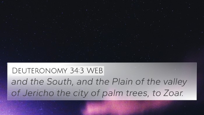 Deuteronomy 34:3 WEB Bible Verse Image