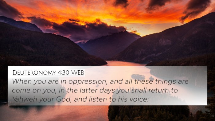 Deuteronomy 4:30 WEB Bible Verse Image