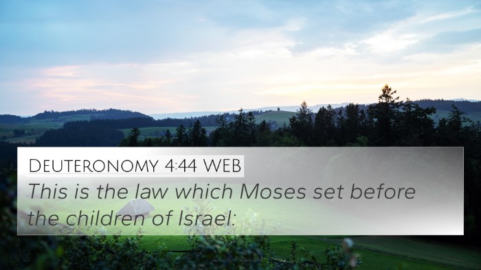 Deuteronomy 4:44 WEB 4K Wallpaper - This is the law which Moses set before the - 4K Wallpaper Bible Verse