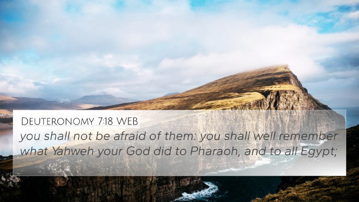 Deuteronomy 7:18 WEB Bible Verse Image