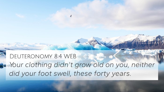 Deuteronomy 8:4 WEB Bible Verse Image