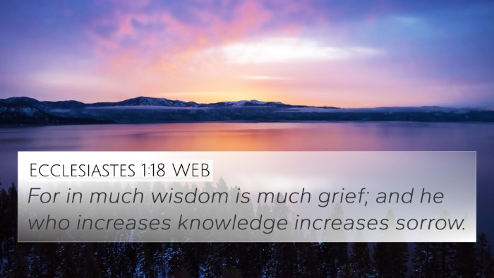 Ecclesiastes 1:18 WEB Bible Verse Image