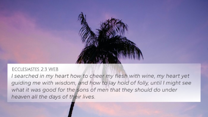 Ecclesiastes 2:3 WEB Bible Verse Image