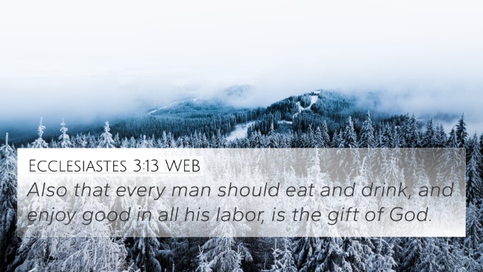 Ecclesiastes 3:13 WEB Bible Verse Image