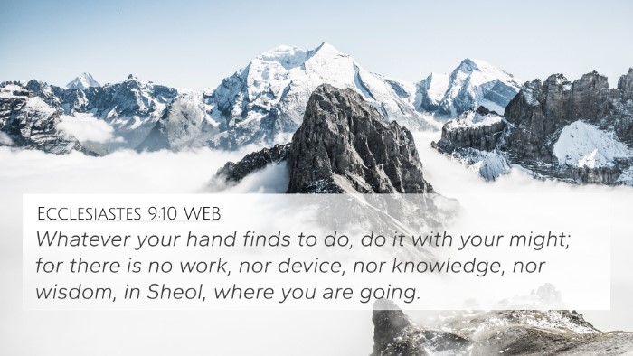 Ecclesiastes 9:10 WEB Bible Verse Image