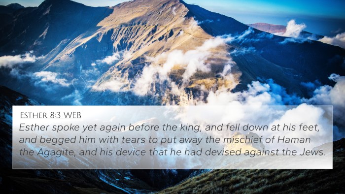 Esther 8:3 WEB Bible Verse Image