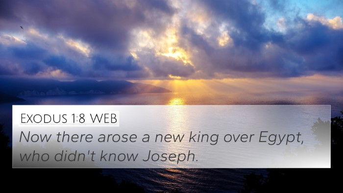 Exodus 1:8 WEB 4K Wallpaper - Now there arose a new king over Egypt, who didn't - 4K Wallpaper Bible Verse