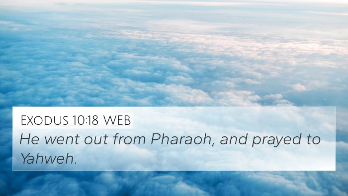 Exodus 10:18 WEB Bible Verse Image