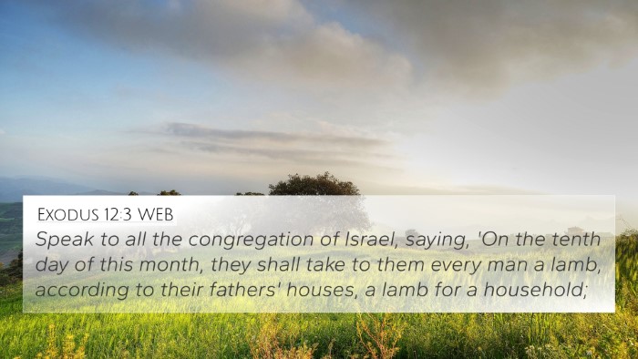 Exodus 12:3 WEB Bible Verse Image