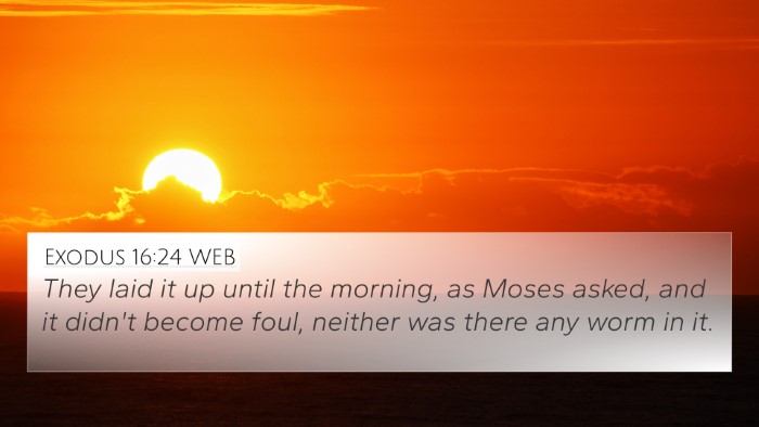 Exodus 16:24 WEB Bible Verse Image