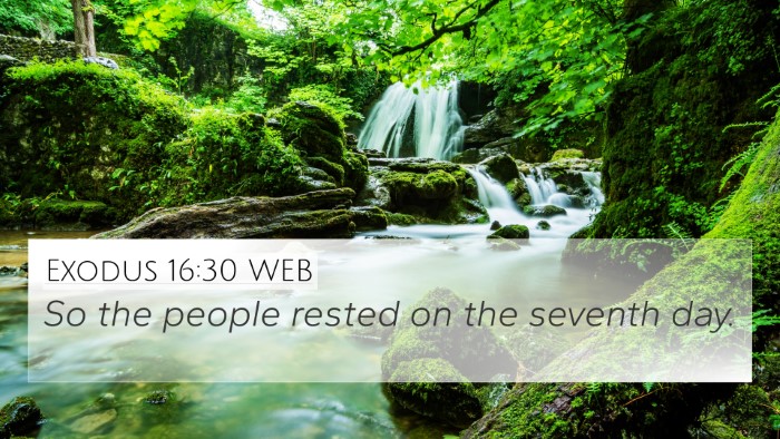 Exodus 16:30 WEB 4K Wallpaper - So the people rested on the seventh - 4K Wallpaper Bible Verse