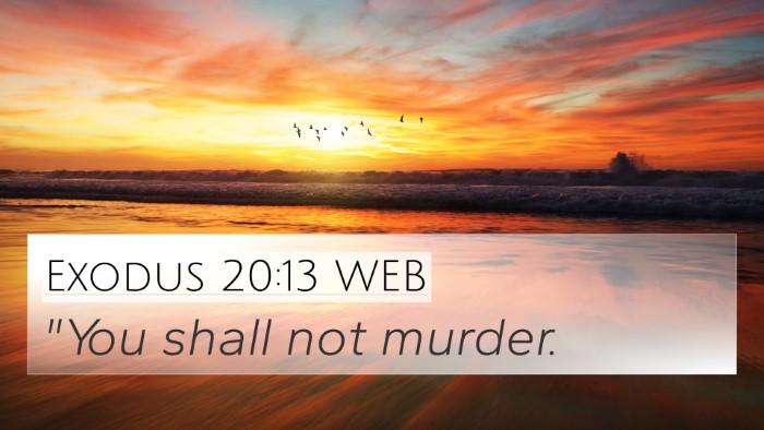 Exodus 20:13 WEB Bible Verse Image