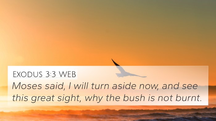 Exodus 3:3 WEB Bible Verse Image