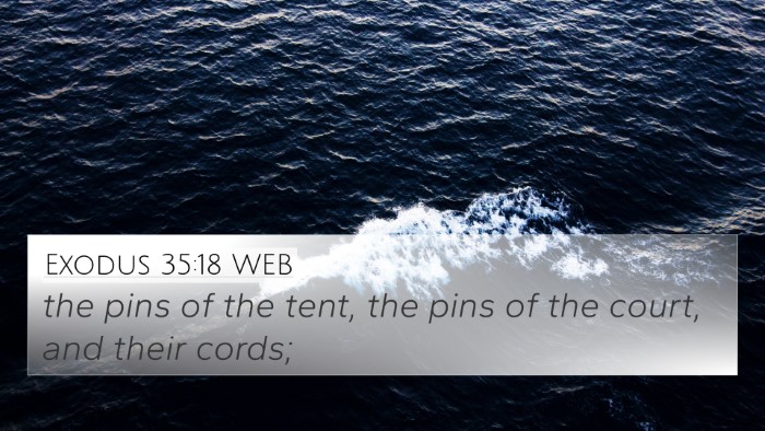Exodus 35:18 WEB Bible Verse Image