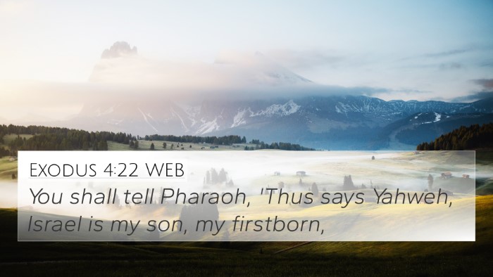 Exodus 4:22 WEB Bible Verse Image